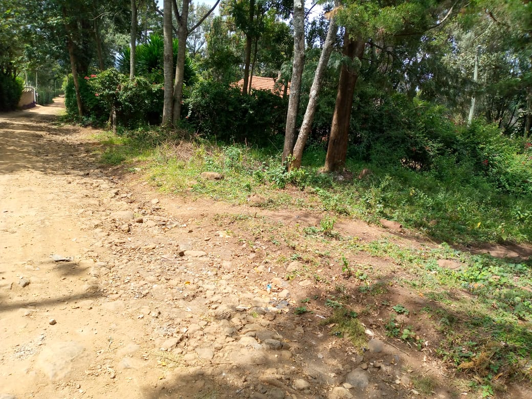 1/8 and ¼ acre plots in Ngong, Bondeni Kagen Properties & Investments
