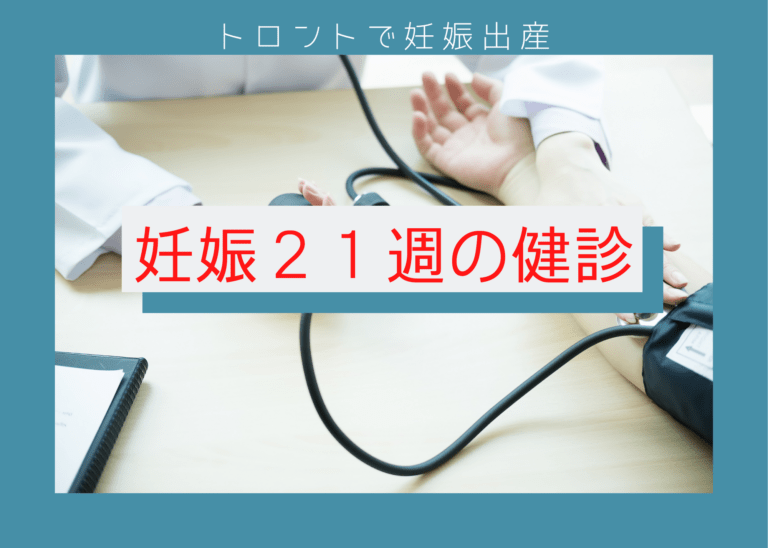 【トロントで妊娠出産】妊娠21週の健診と分娩場所の選択肢│根無草ろぐ