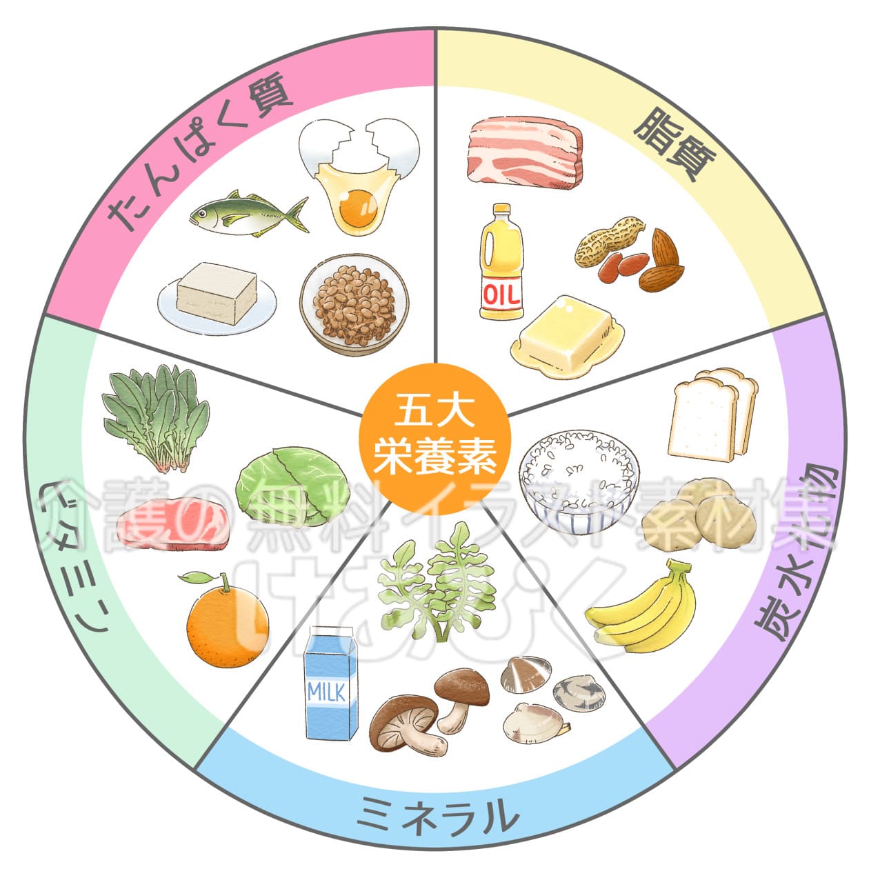 食事をする女性 栄養バランスのイラスト素材 [Fyi04100708] | ストックフォトのAmanaimages Plus 五大栄養素表のイラスト ｜ 介護の無料イラスト素材集けあぴく