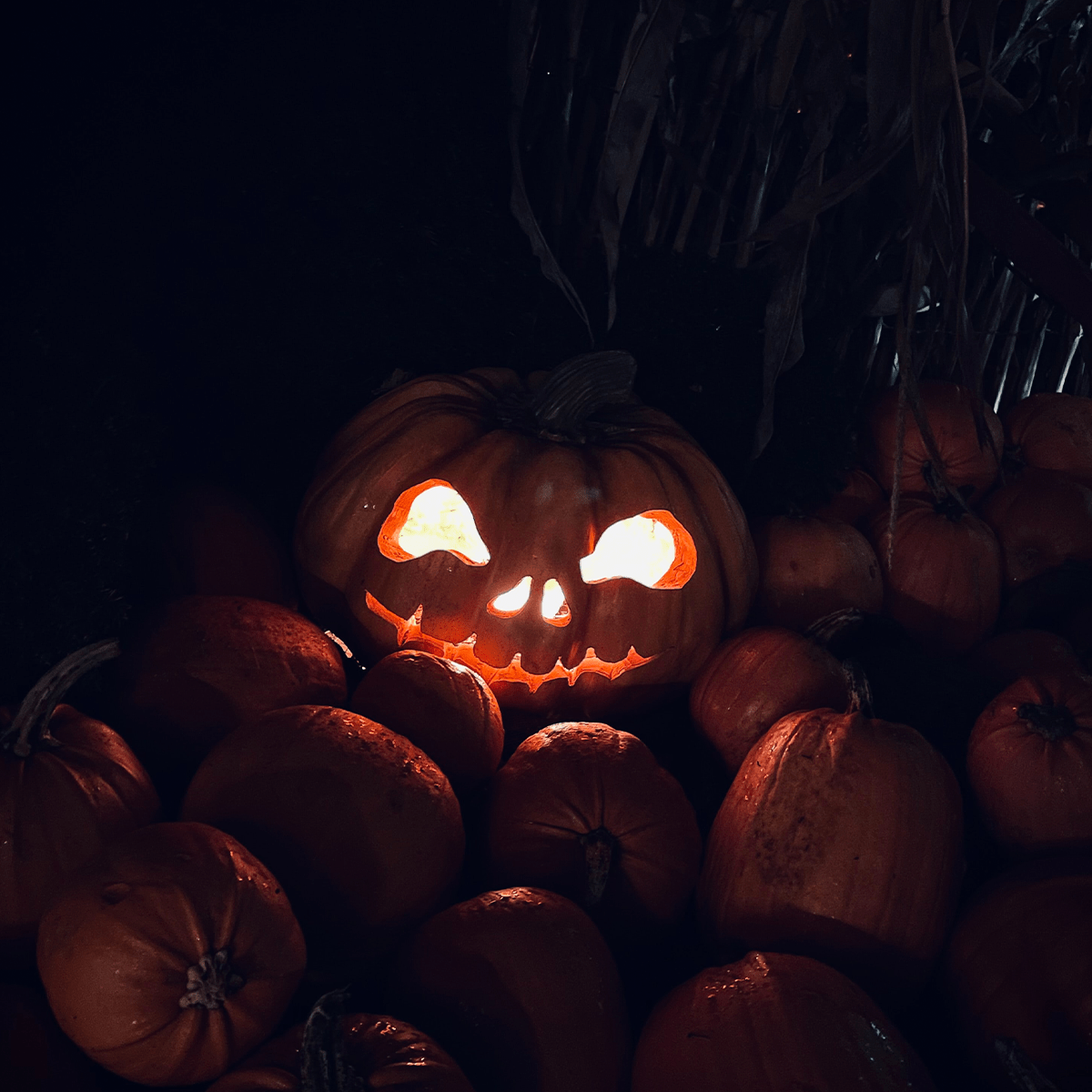Is Halloween the Devil’s Birthday? Kainos Project