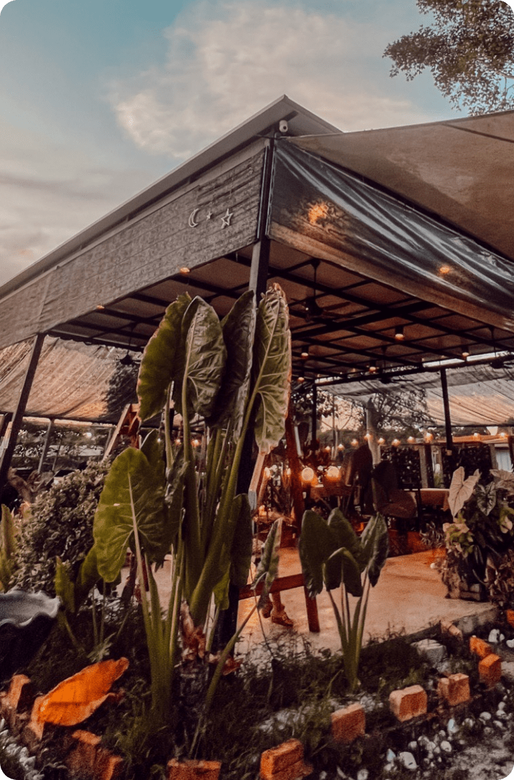 Farm To Table Kairos Agriculture