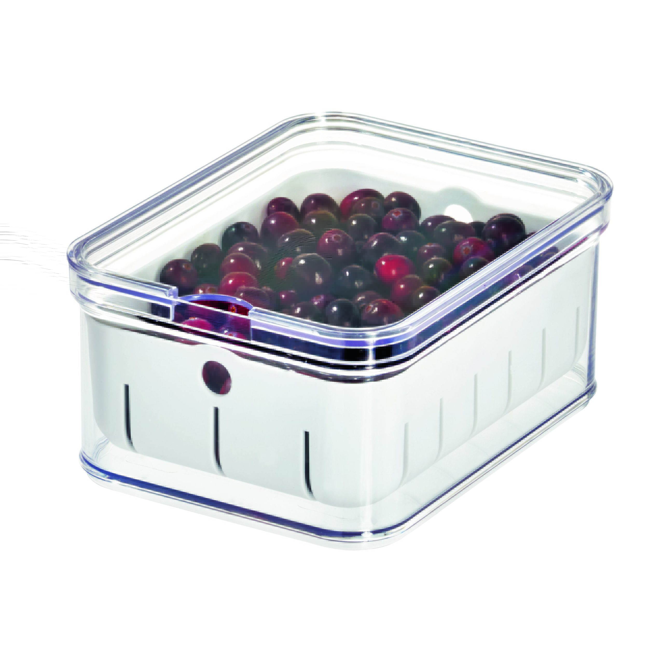 iDesign Aufbewahrungsbehälter Crisp Berry Bin Kaiserplatz