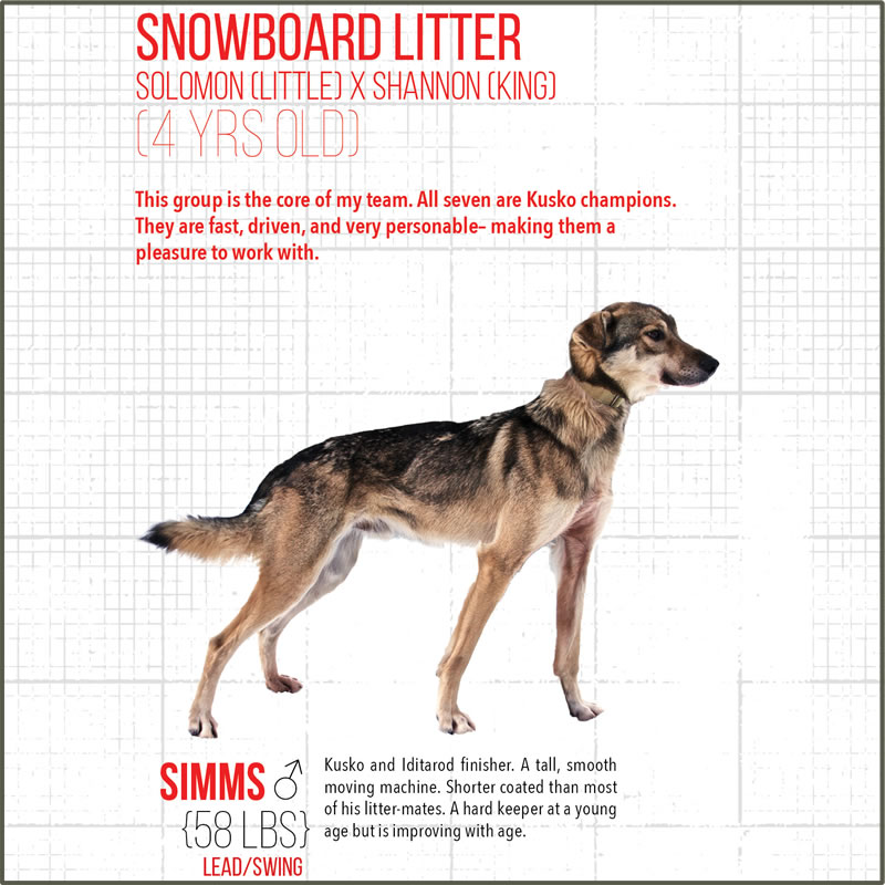 Meet Our Team Kaiser Racing Kennel Bethel, Alaska