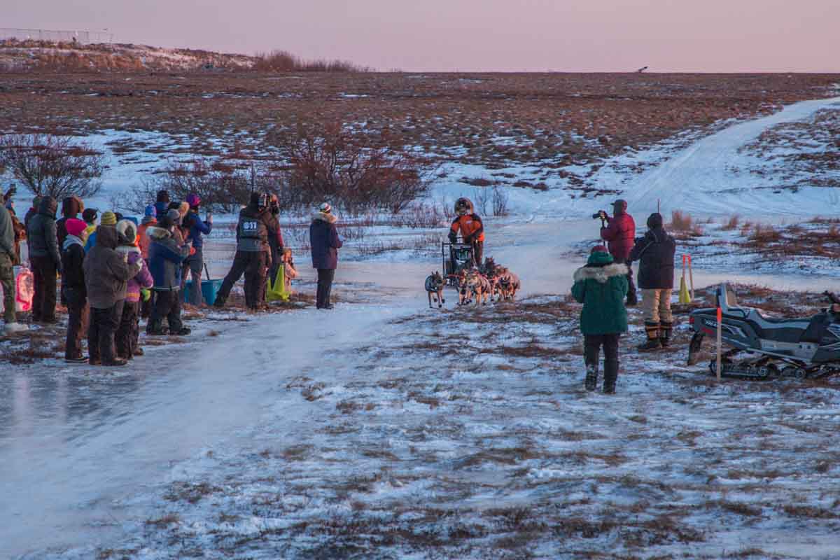 Coming into Bethel Photos Kaiser Racing Kennel Bethel, Alaska