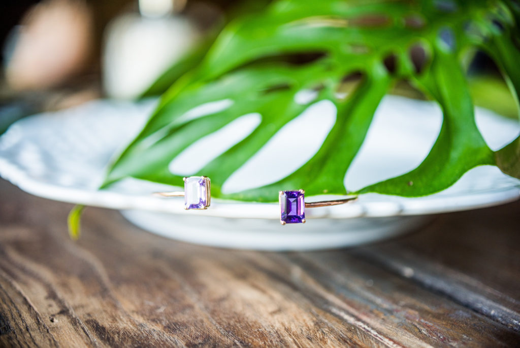 Styled Shoot Royalton Equestrian, Mattituck Kaitlyn Ferris Wedding Photography