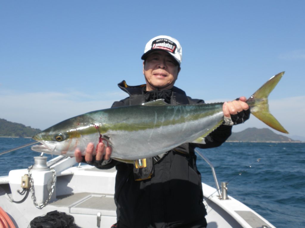 2016/11/16 ハマチ ≫ 広島の遊漁船海斗の釣り日記
