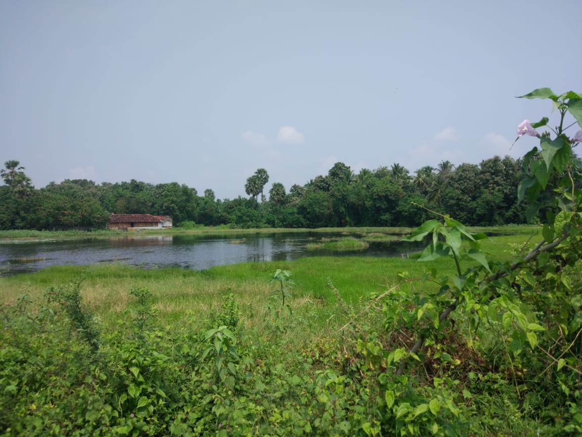 Kaivalyadhamam Home Stay kaivalyadhamam