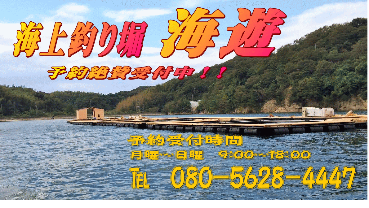 広島 海上釣り堀 海遊 大自然の中の海上釣り堀海遊。タイ・ハマチ・カンパチ・シマアジ・ヒラマサなど釣り放題‼