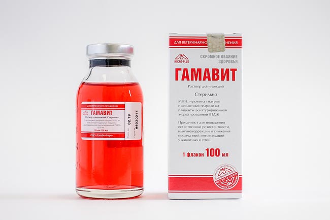 Иллюстрация к материалу «Понос у волнистых попугаев. Что делать, если у волнистого попугая понос»