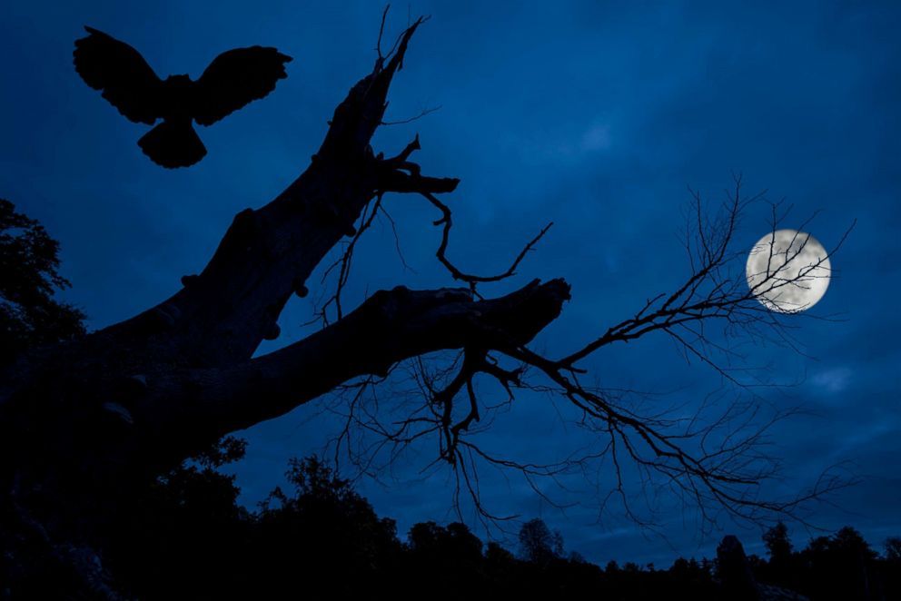 A rare blue moon will light up the night sky this Halloween KAKE