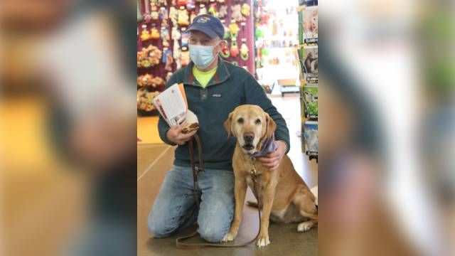 Missing Kansas City dog shows up in Wichita, reunited with family KAKE