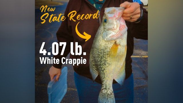 Topeka man catches biggest crappie in Kansas history KAKE
