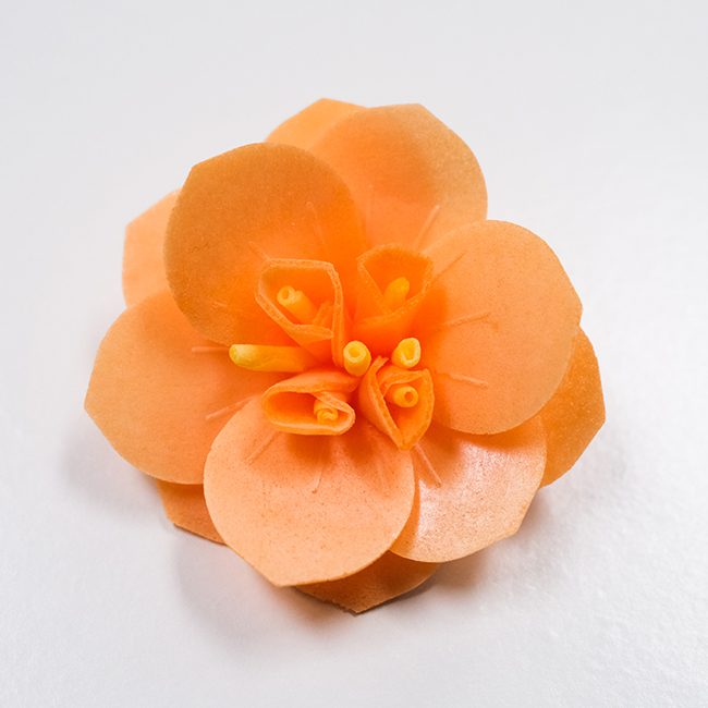 Cherry Bloom edible wafer paper flowers 6pk