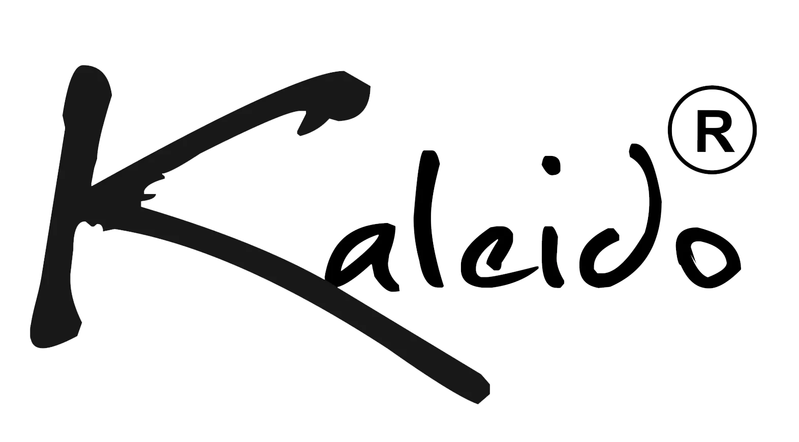 Setting Up and Using Your Kaleido Roaster Kaleido Roasters USA