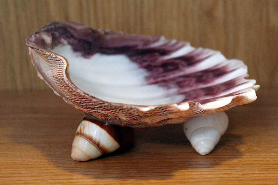 Shell Soap Dish Kaleidoscope Baby