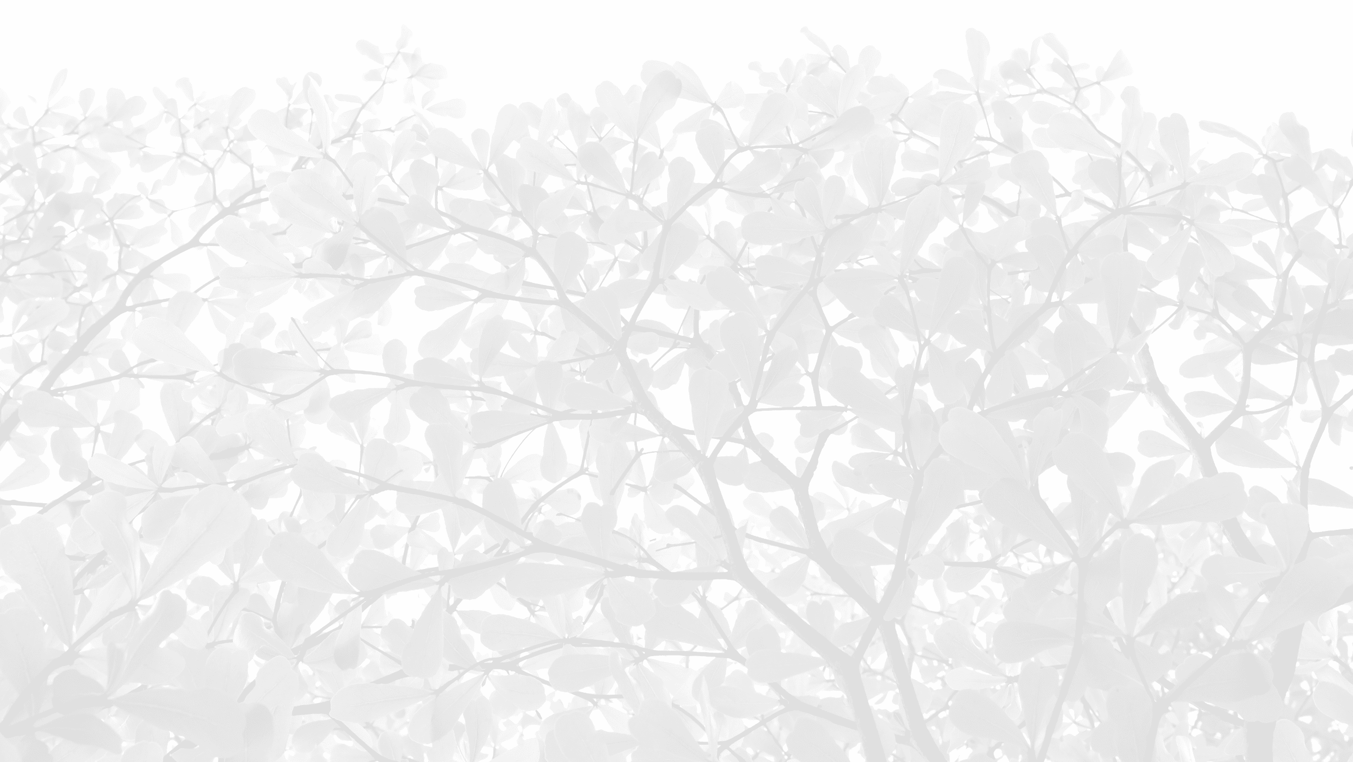 Home Kaleidoscope Park