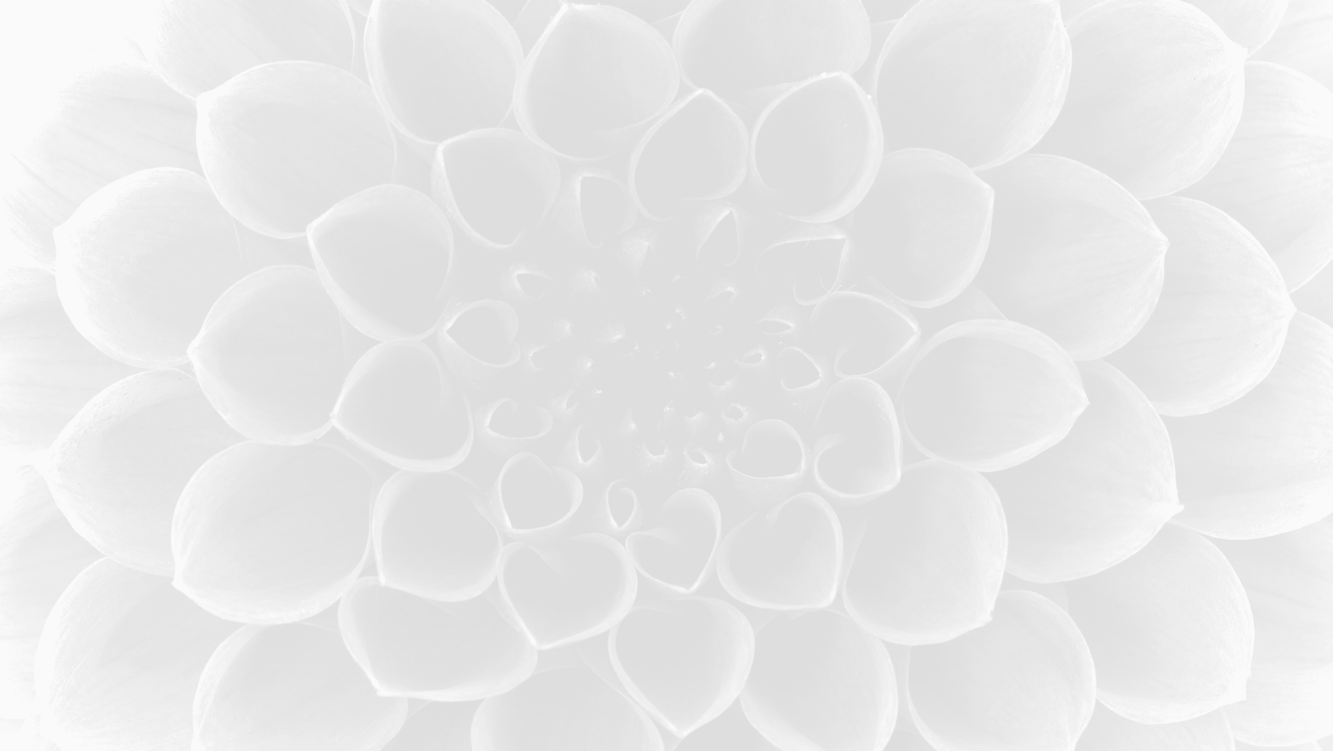 Home Kaleidoscope Park