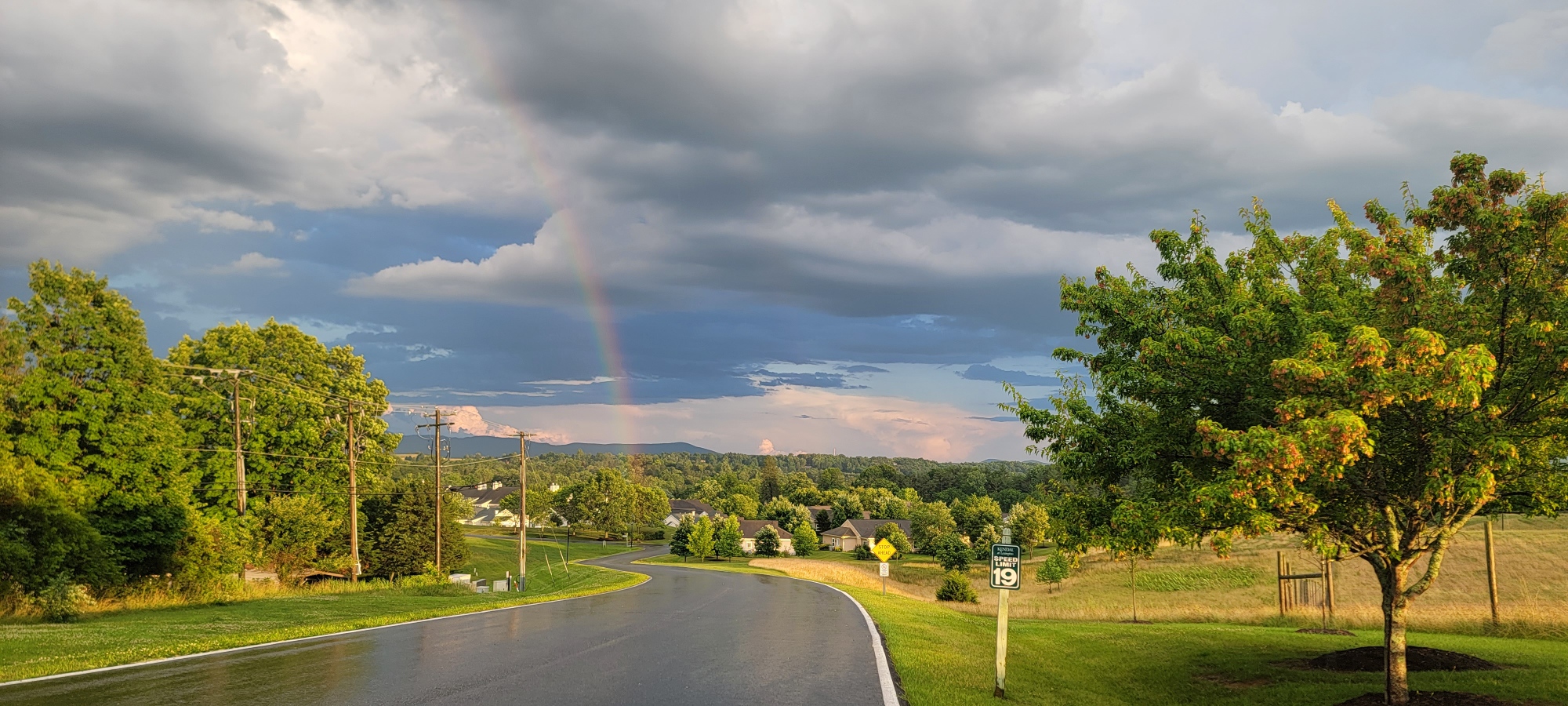 Why Did They Do It? Kendal at Lexington