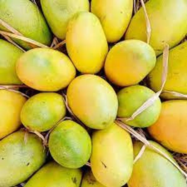Buy Fruits, Groceries, Vegetables from Our Exclusive Online Store Kalgudi