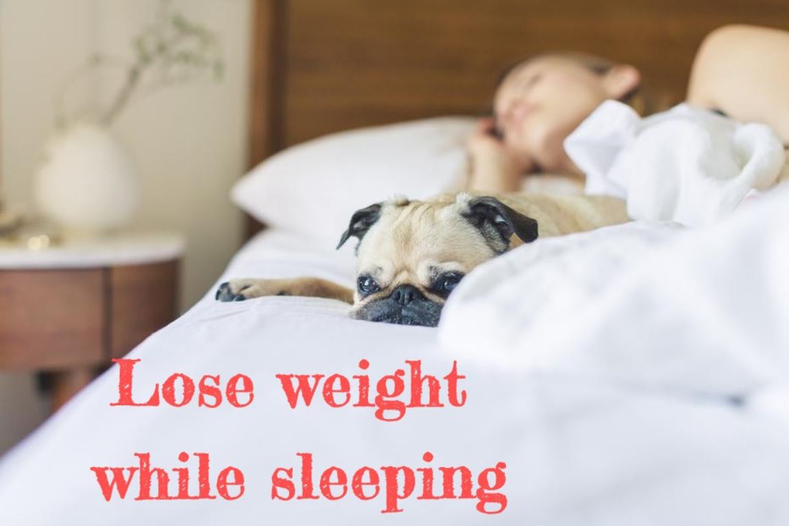 Loose Weight While Sleeping, Know The Details Here