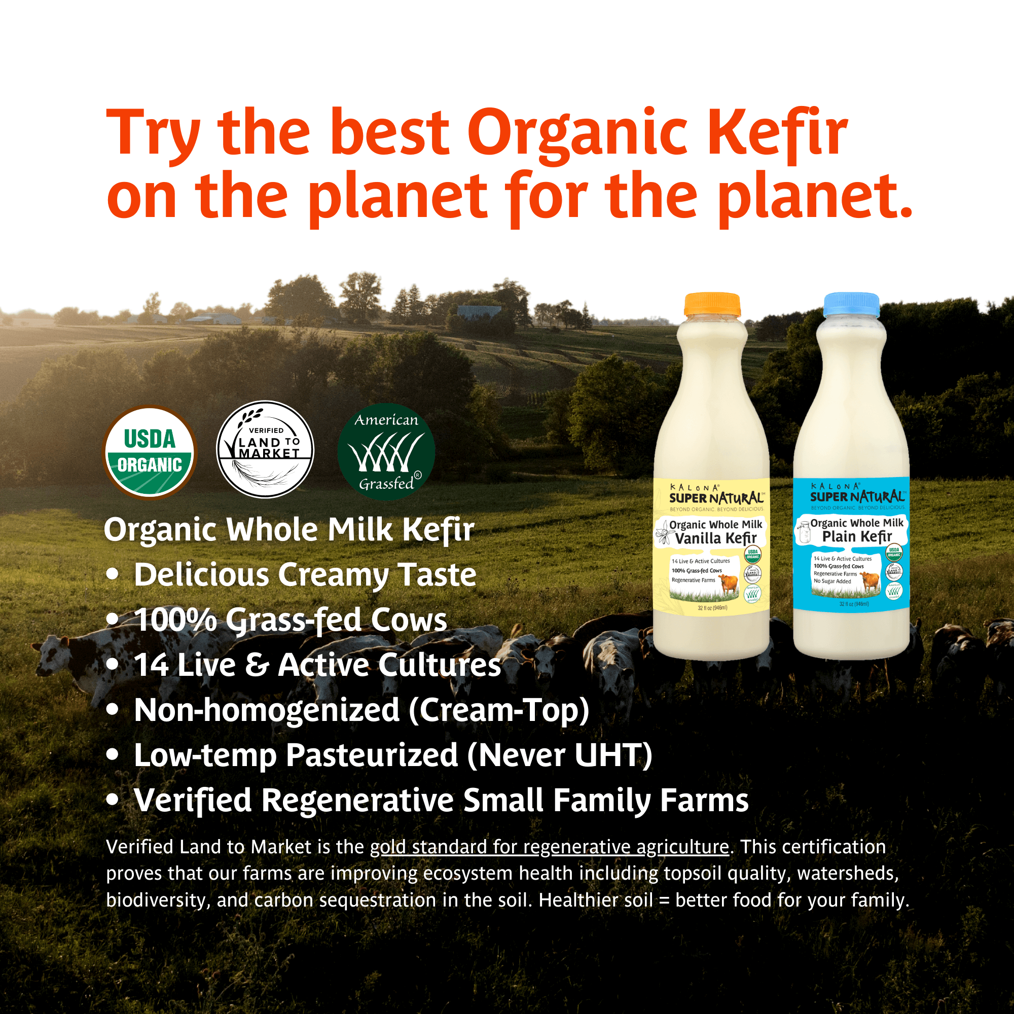 Kefir Trial Kalona SuperNatural