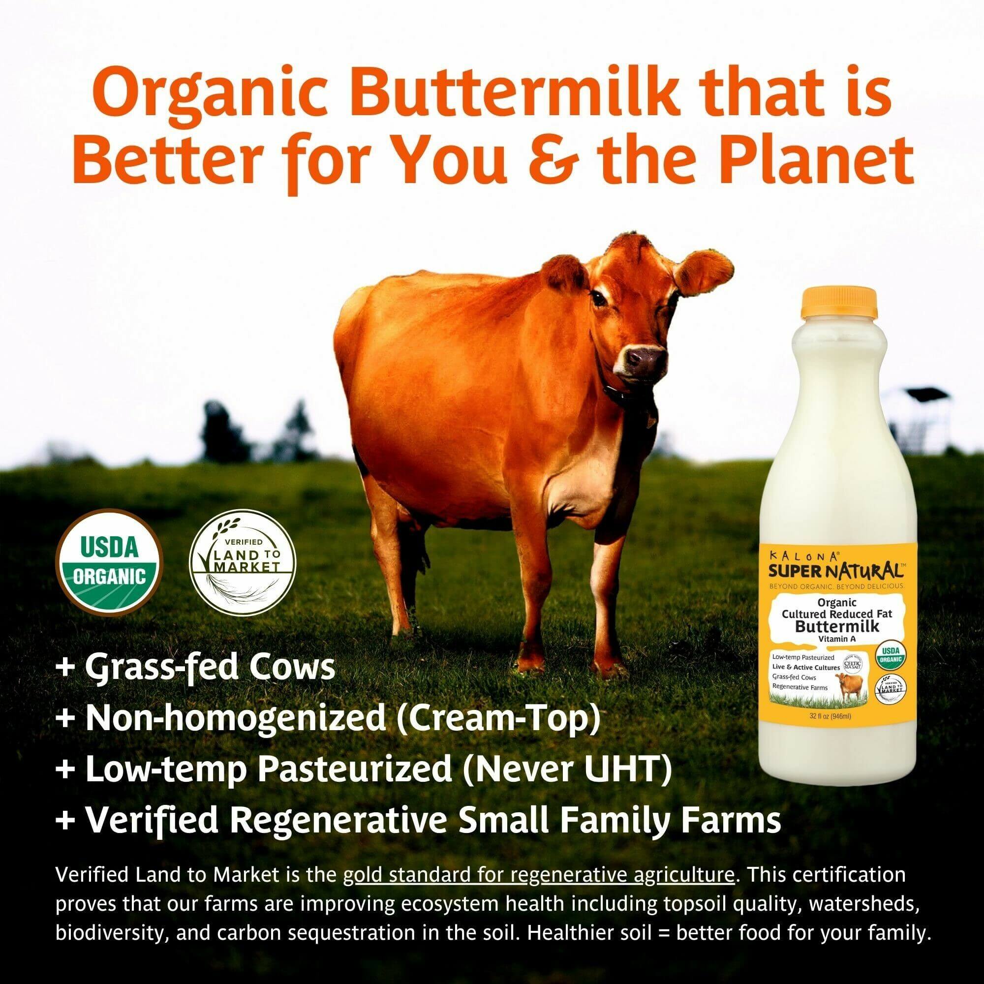 Organic Cultured Reduced Fat Buttermilk Kalona SuperNatural