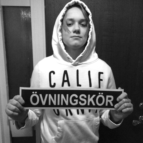 Skallevärk, övningskörning, längtan ut och CMORE. - KAMILLAS KAMERA -