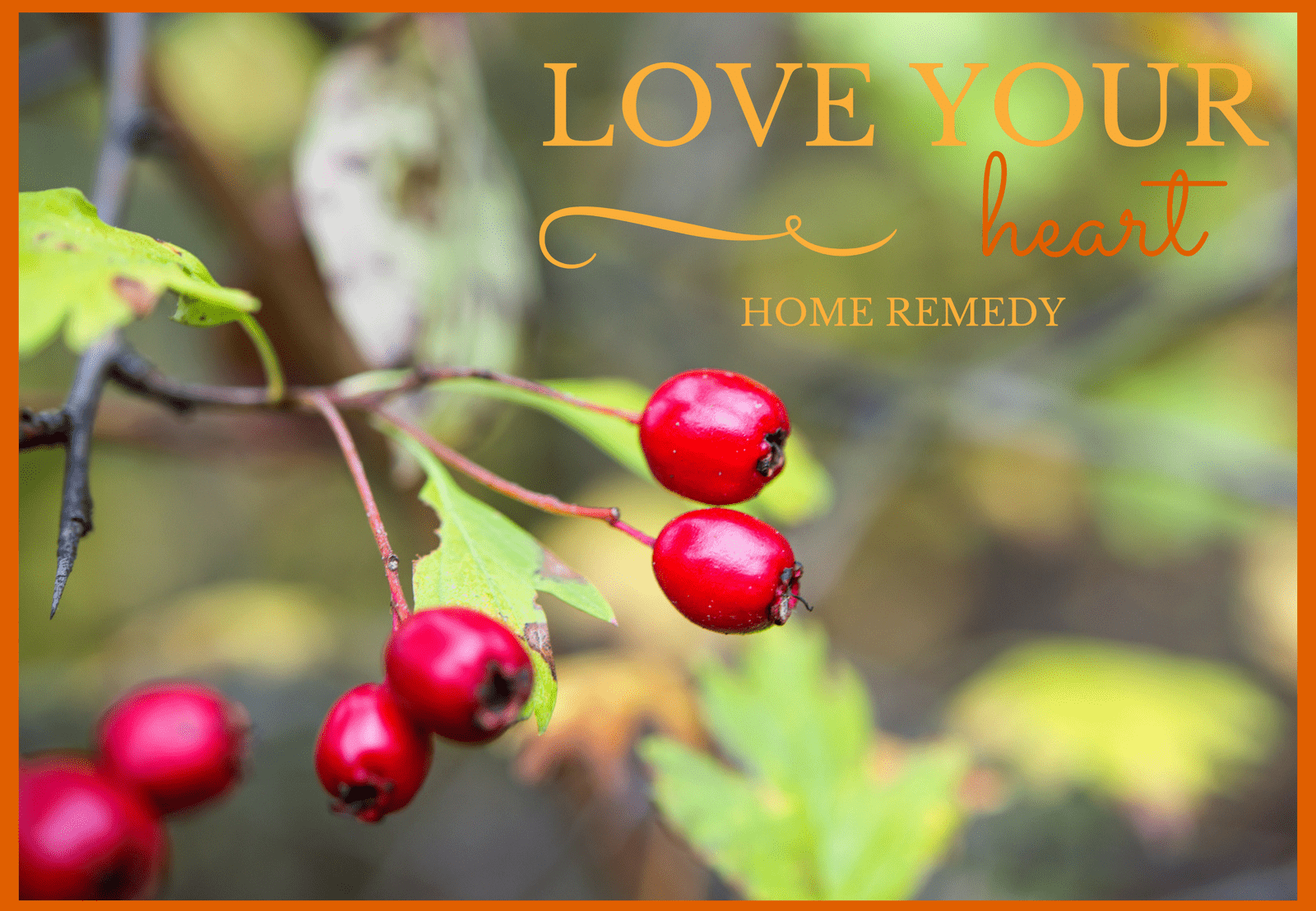 Love Your Heart Home Remedy Living Awareness Institute