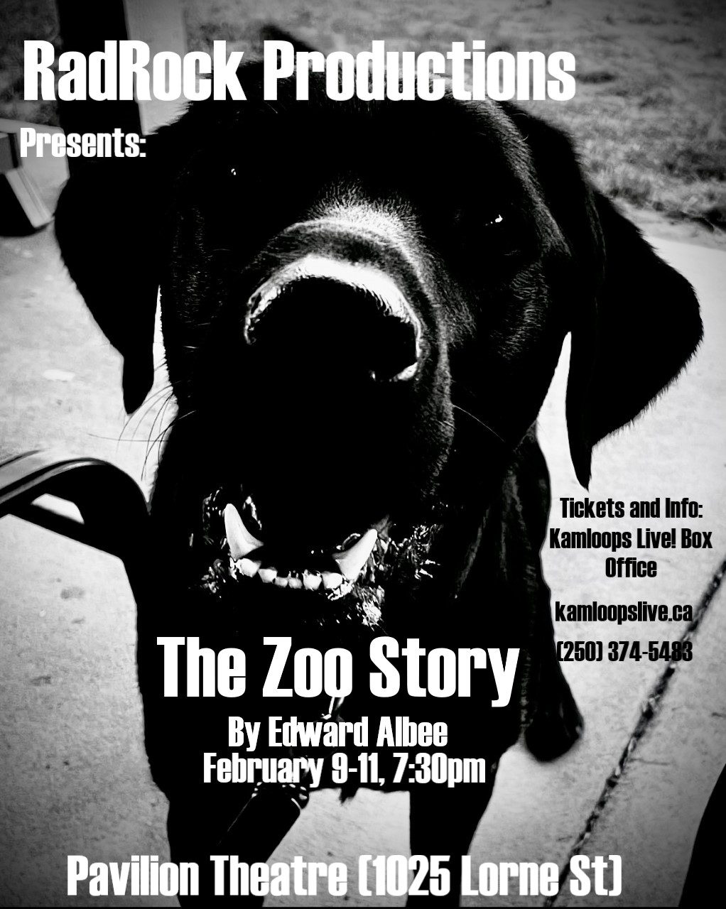 RadRock Productions presents The Zoo Story by Edward Albee at the