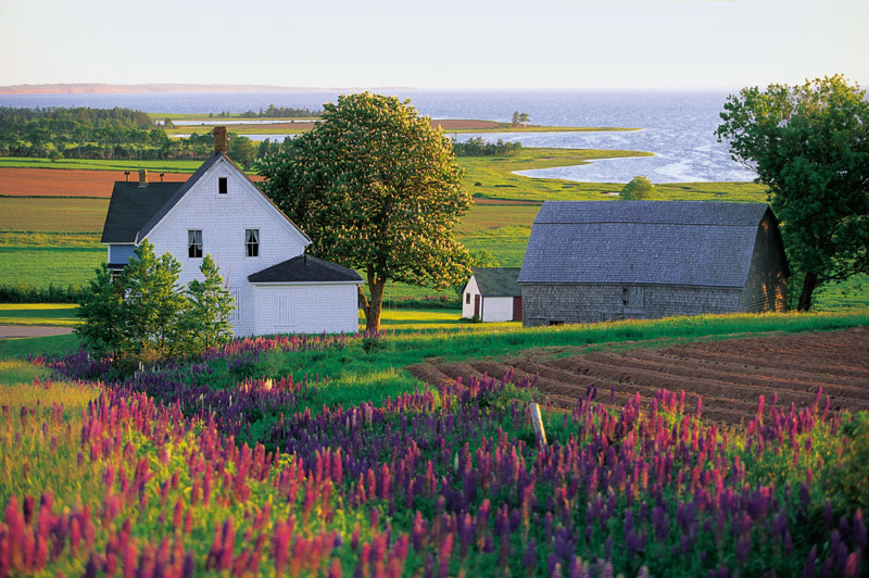 Prince Edward Island Kanada Banda Podcast PEI