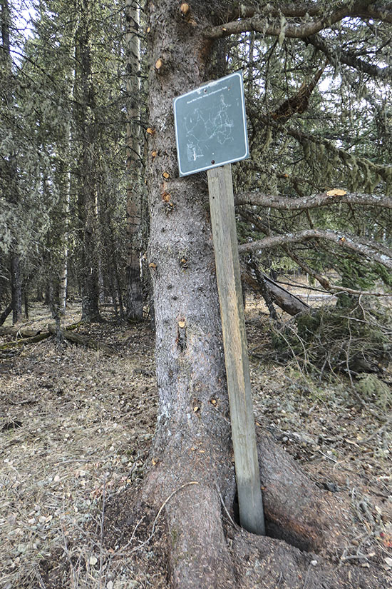 Kananaskis Country Conservation Pass Promotion Sign
