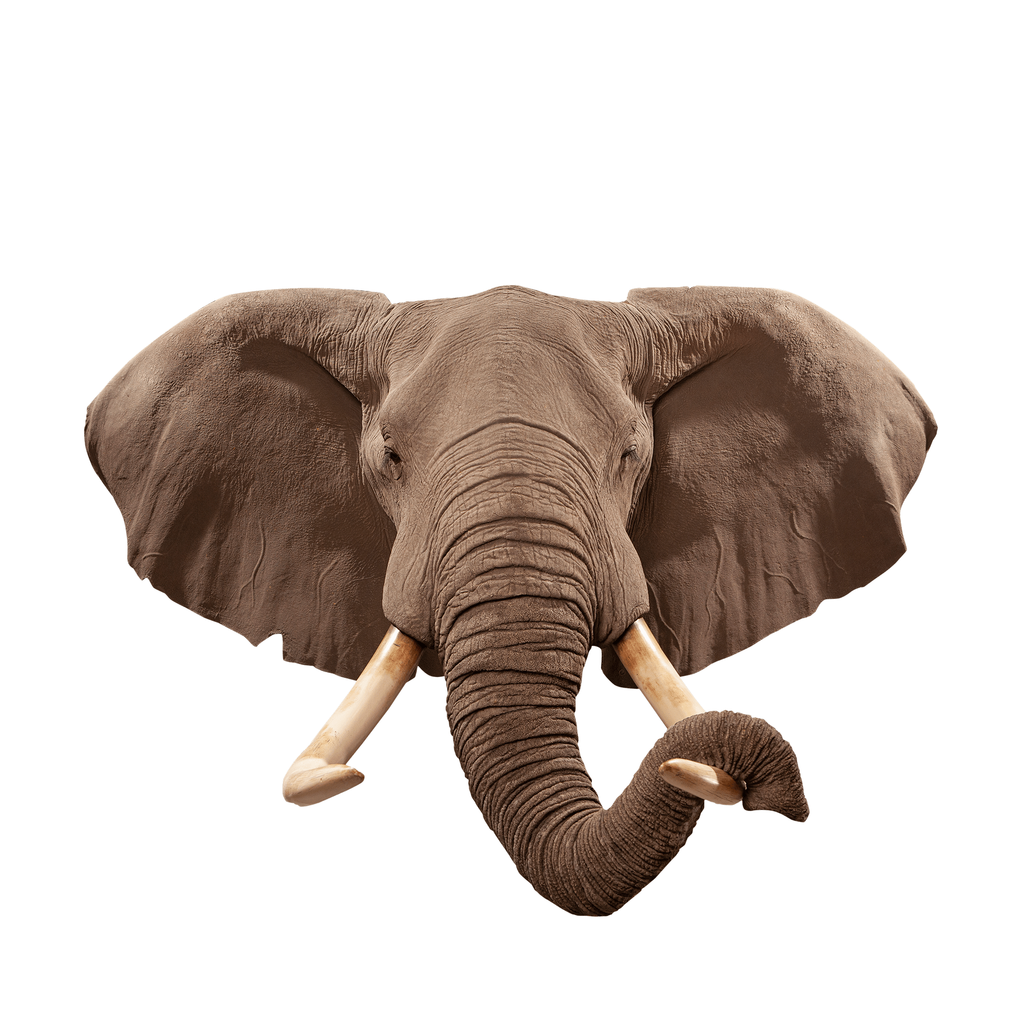 Elephant Replica RE103 Our Work Kanati Studio