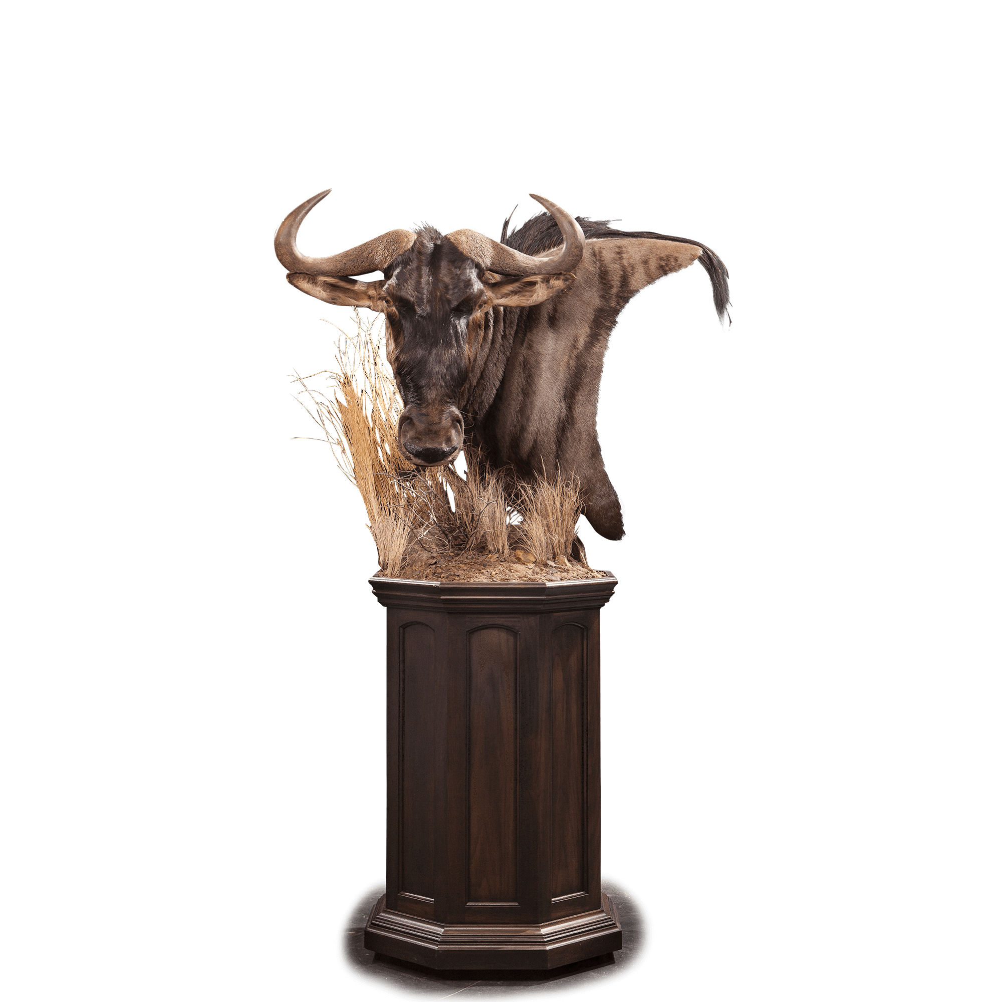 Blue Wildebeest WB101 Our Work Kanati Studio