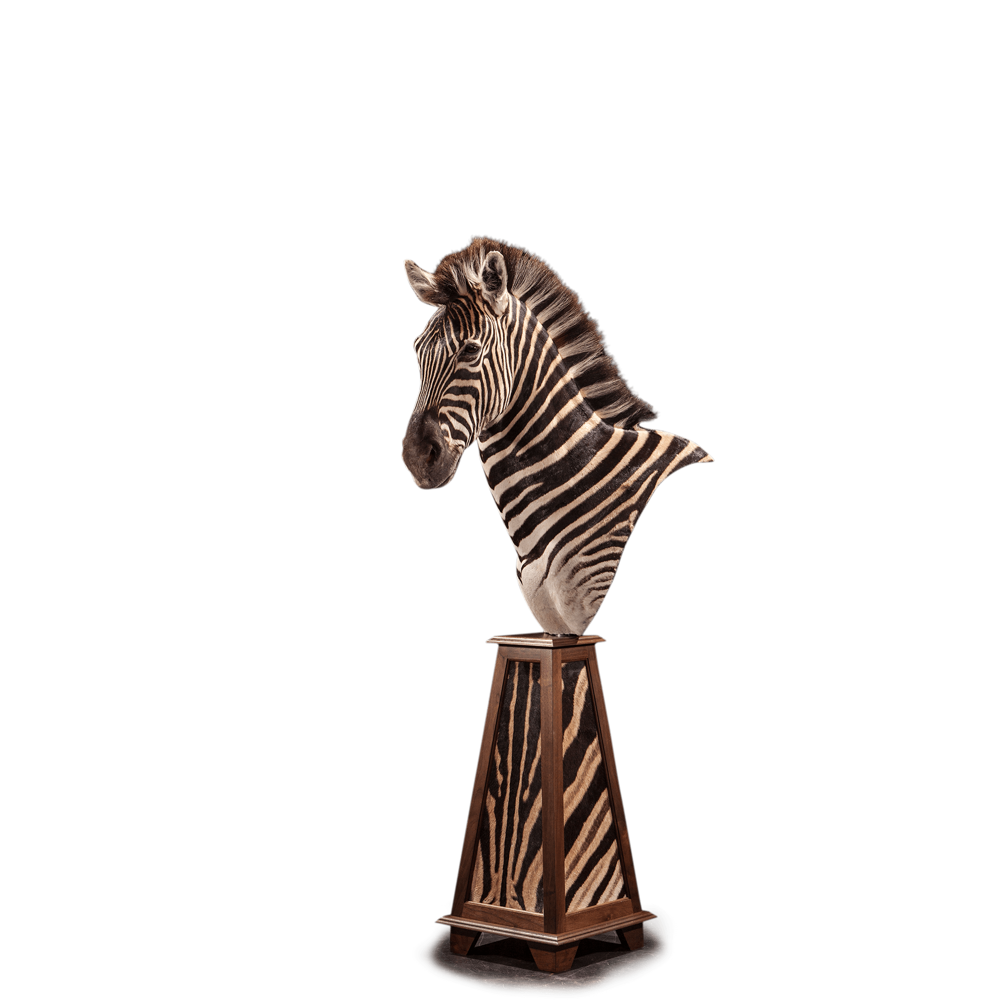 Zebra ZB106 Our Work Kanati Studio