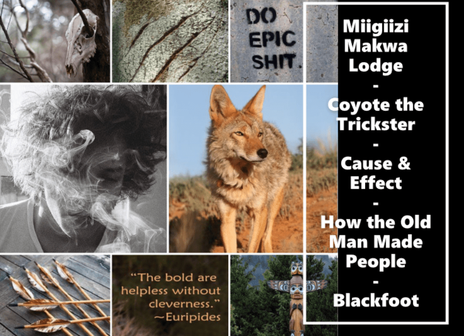 Medicine Cards Bird Clan Messenger