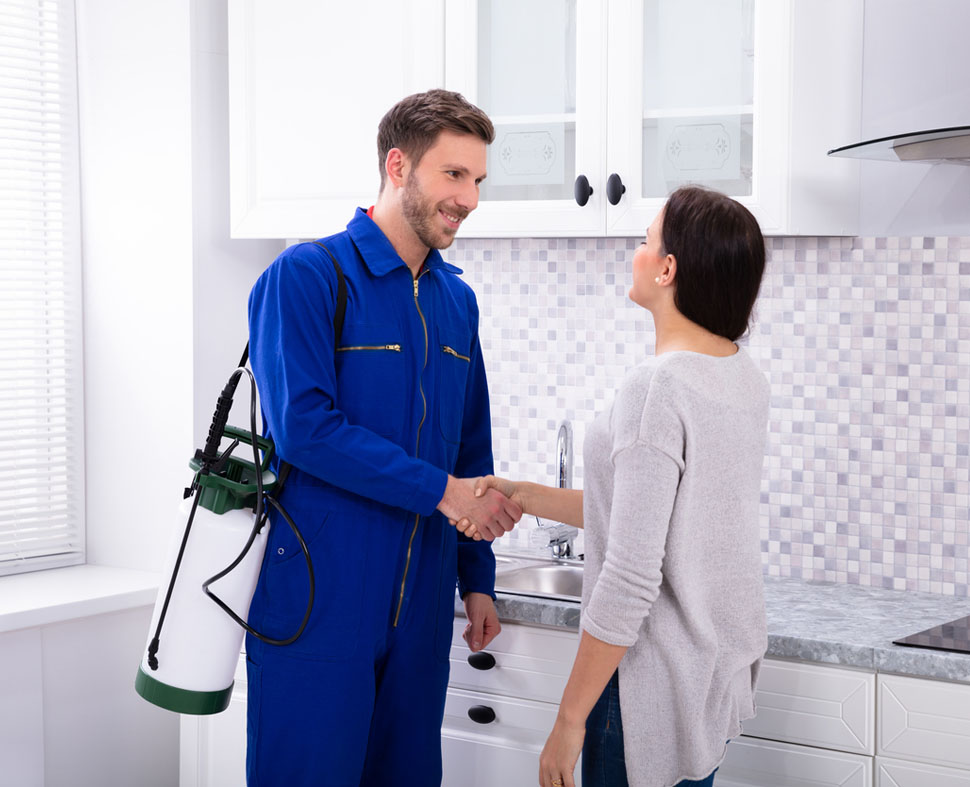 Pest Control In Kandivali With 100 Effective Kandivali Pest Control