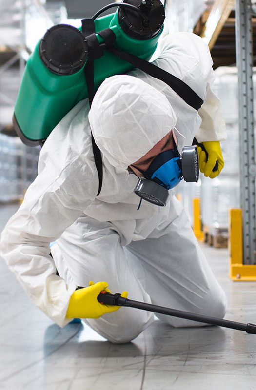 Pest Control In Kandivali With 100 Effective Kandivali Pest Control