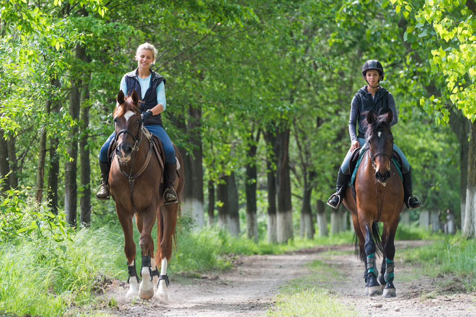 Home Forest Preserve District of Kane County