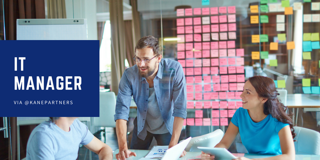 IT Manager 35509 IT Staffing Solutions Kane Partners LLC (215