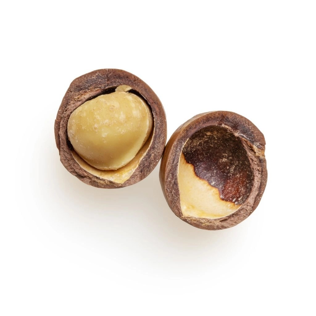 Edible Skin Care Macadamia Nut Oil Kaneshon
