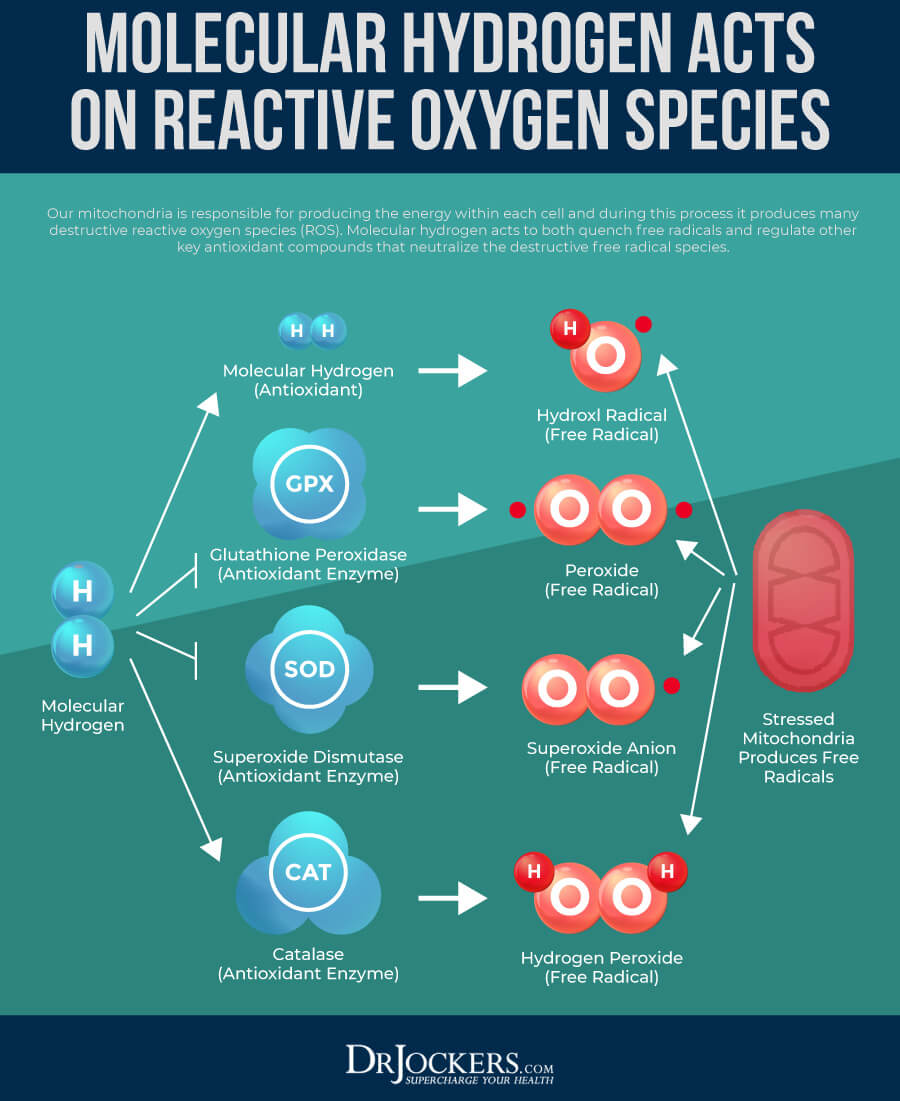 Deeper Information How Free Radicals & Antioxidants Work In Our Body