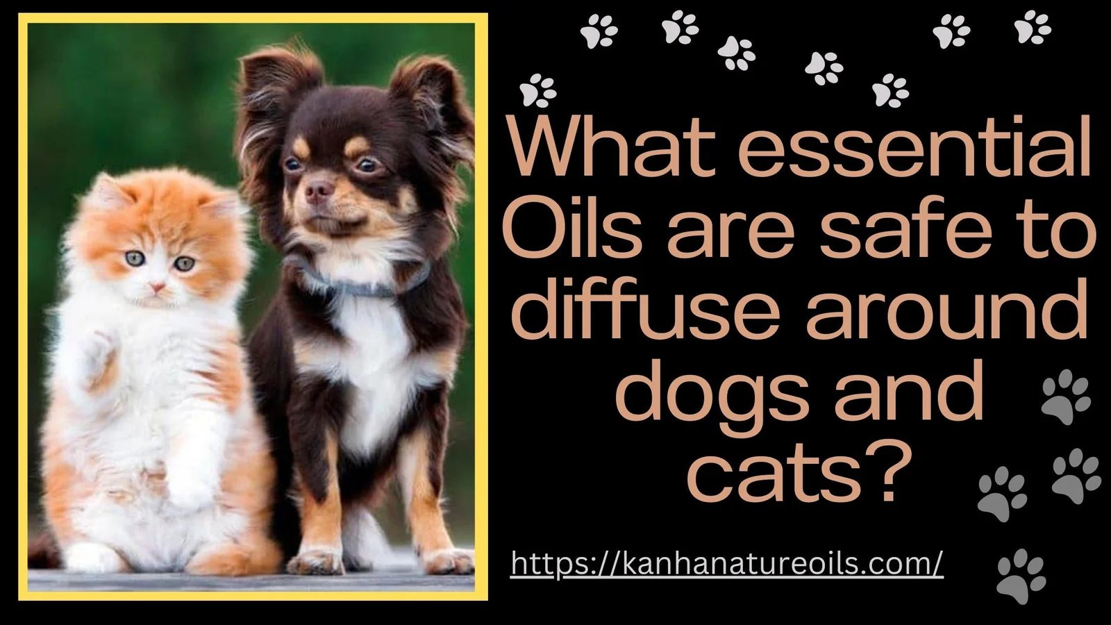 What essential oils are safe to diffuse around dogs and cats? Pure