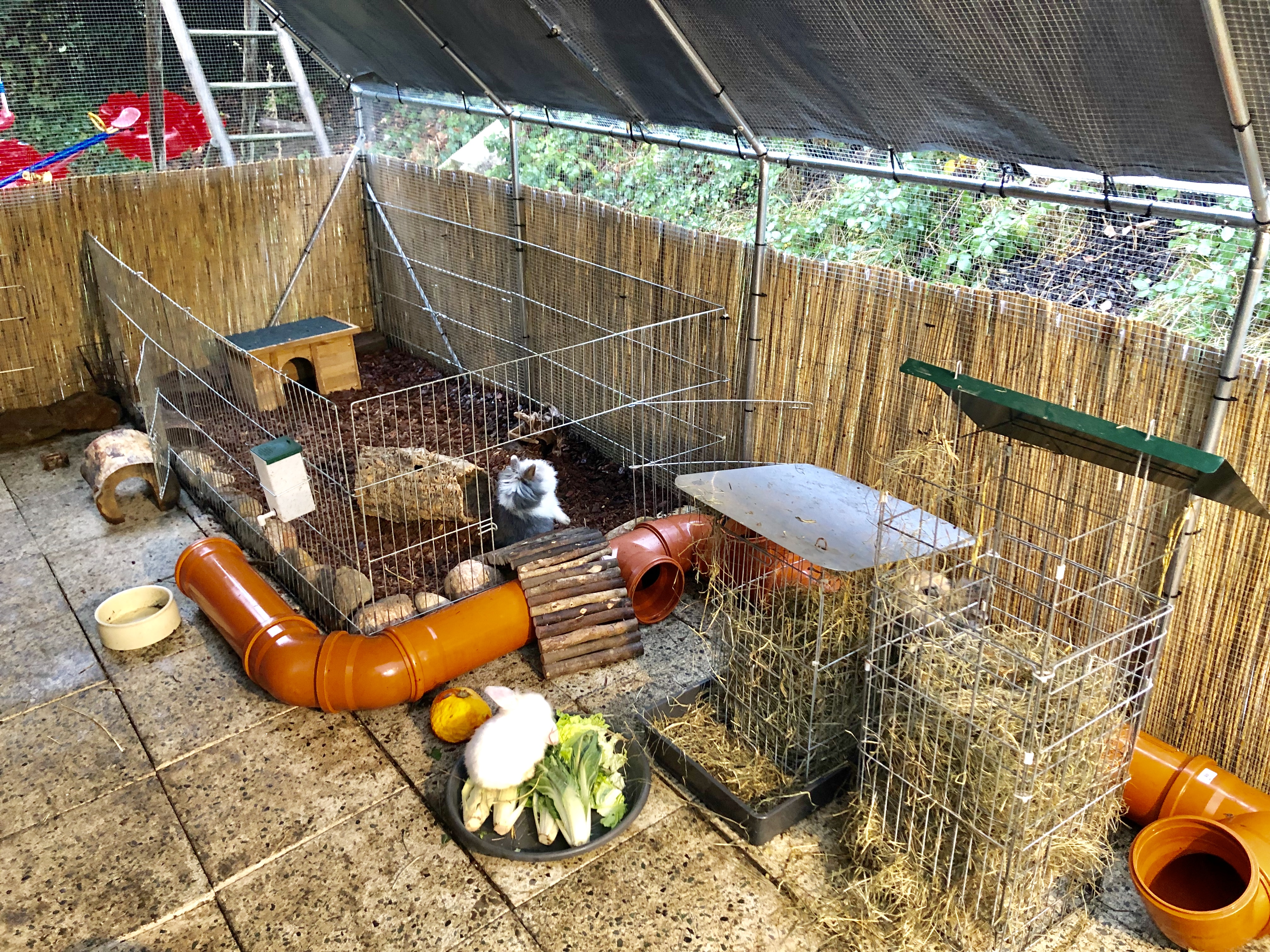 Freigehege Und Stall * Kaninchen-Clan & Co.