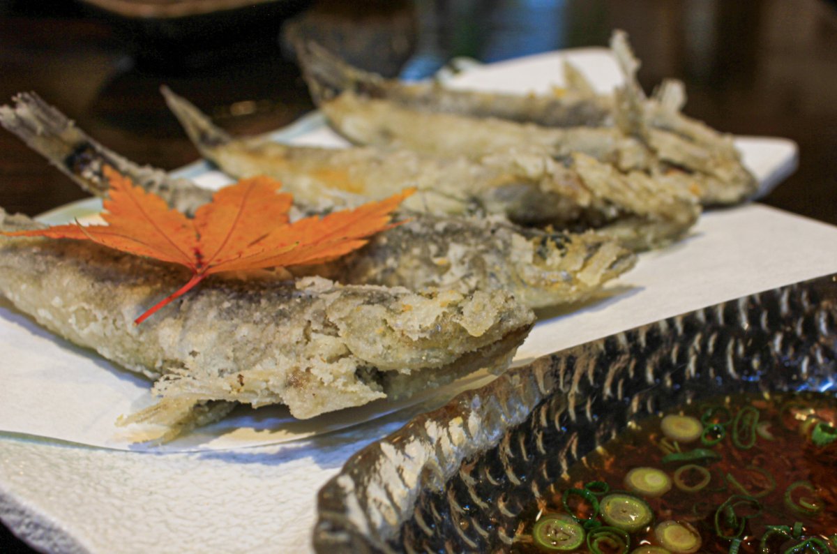 《メヒカリ》 居酒屋「浜料理 肴」でお魚三昧！！！｜いわきのイチオシ｜いわき市観光サイト いわき市の観光・旅行情報が満載！