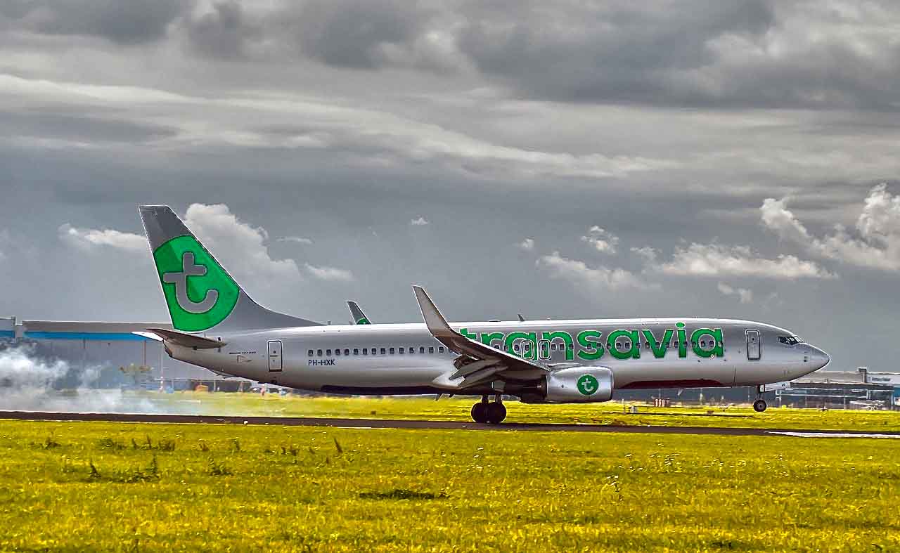 Fly with Transavia. Hand hold baggage, checkin, animals, equipments