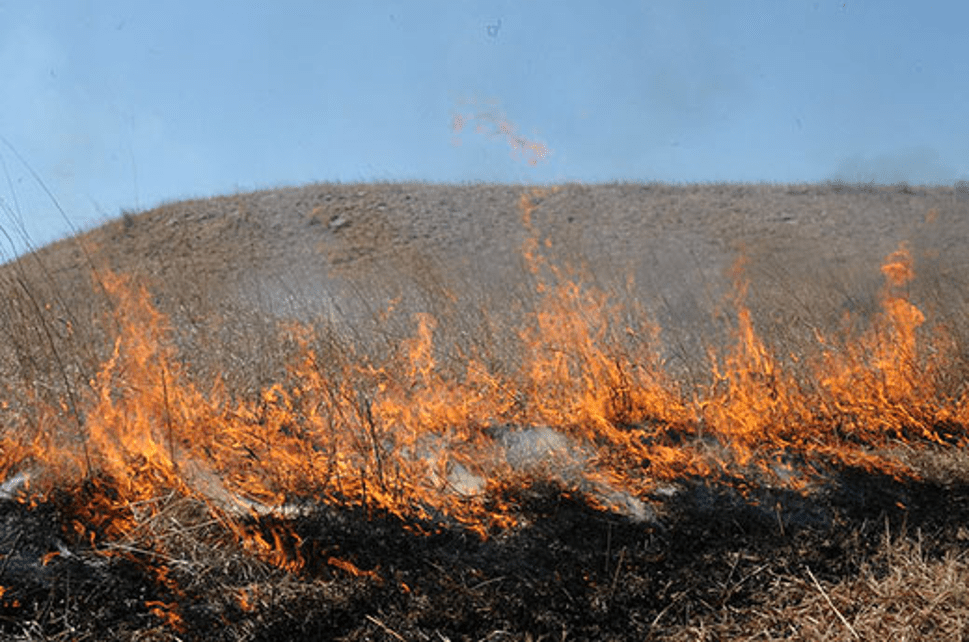 Prescribed burning legal issues Kansas Forage and Grassland Council