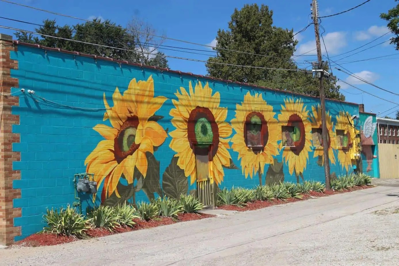 Sunflower Wall Topeka Kansas Murals and Wall Art