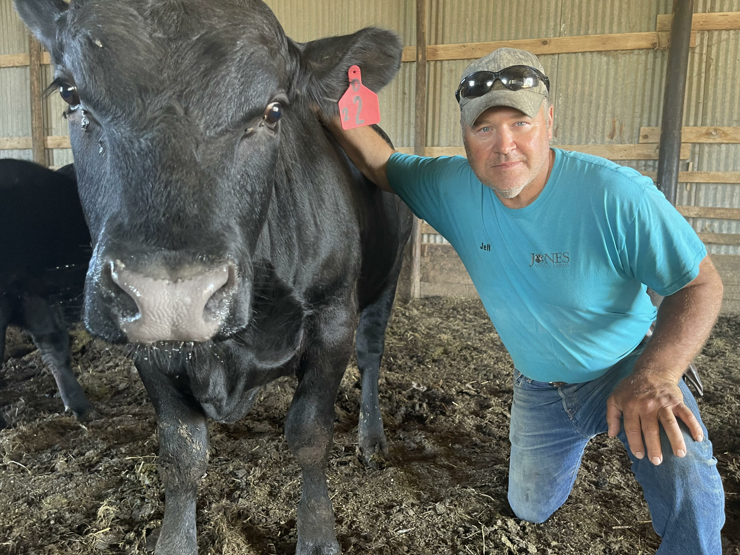 As massive livestock operations move in, fighting them gets harder for