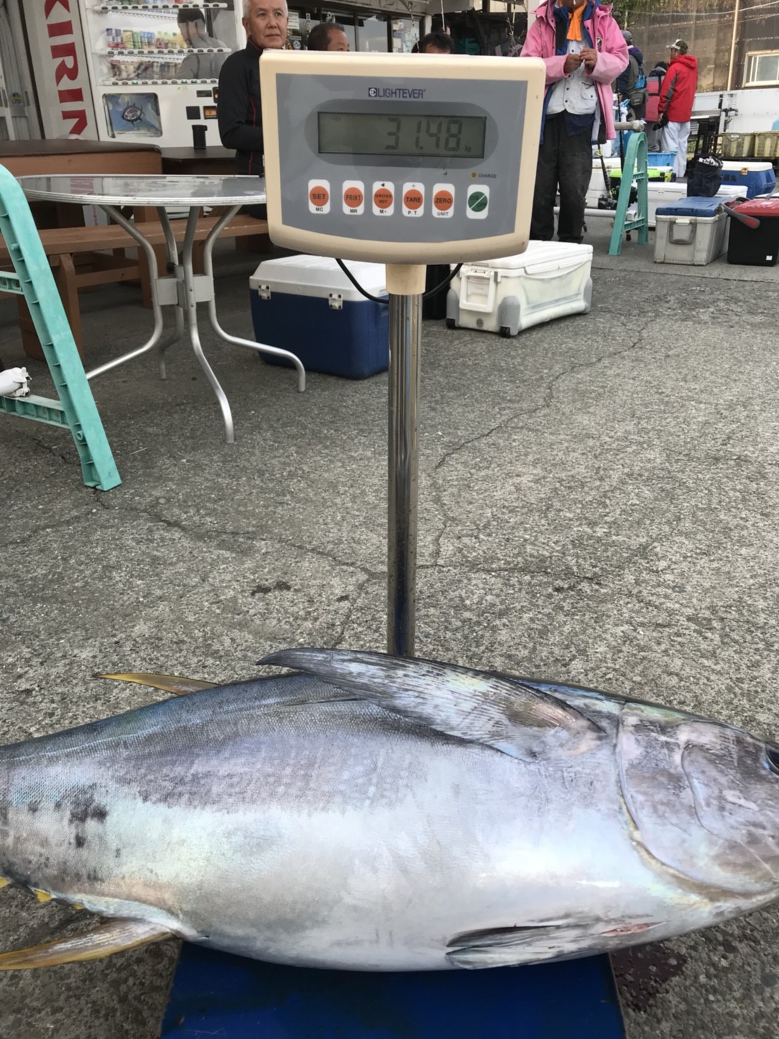 釣り(カツオ、キハダ 相模湾)｜株式会社カンテツ