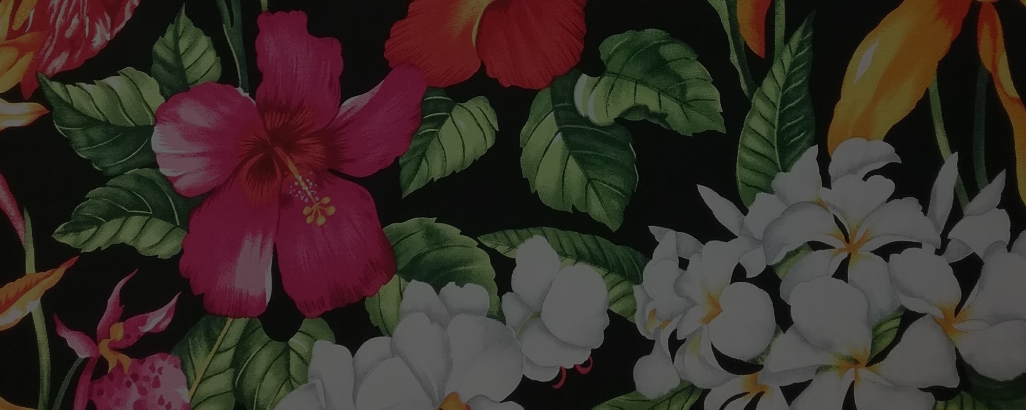 Kauai's Largest, Longest Operating Quilting Fabric Store Lihue, HI